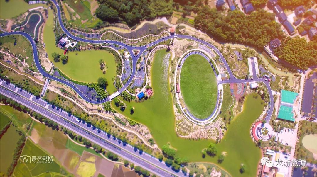 花海镇人口_人口普查图片