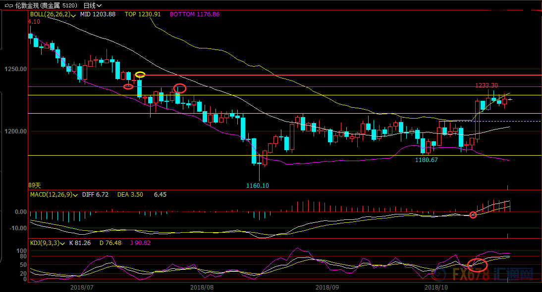  （现货黄金日线图）