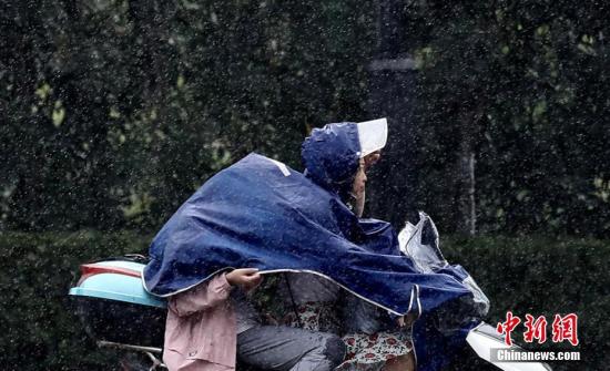 资料图：台风“安比”来袭，江苏中东部地区将迎大到暴雨。 泱波 摄