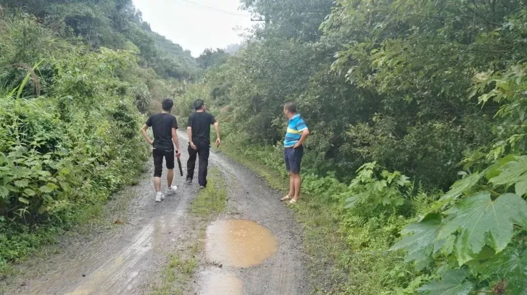 10多名男女半夜躲进山里偷偷干这事!原来他们... 10多名男女半夜躲进山里偷偷干这事!原来他们...