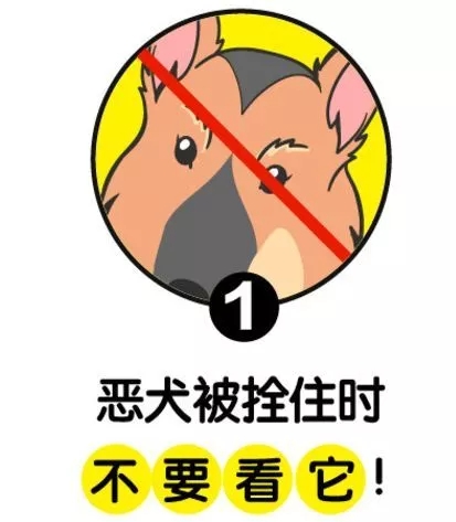 拴住的大型犬