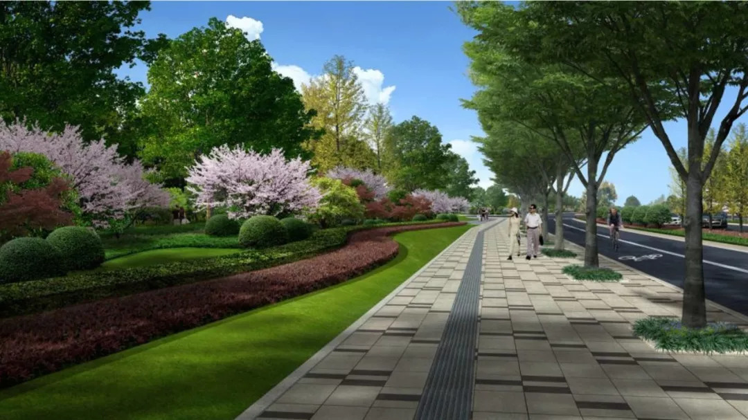 效果图曝光!阜城这条主干道将建两侧各50米宽绿化带,打造赏景大道!(文末福利)