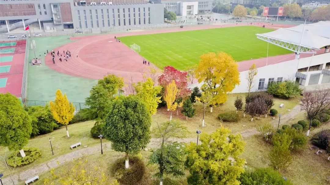 河海大学，美不哭你算我输！