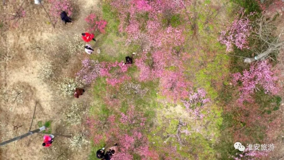 静享最美淮安 邂逅湖畔水韵