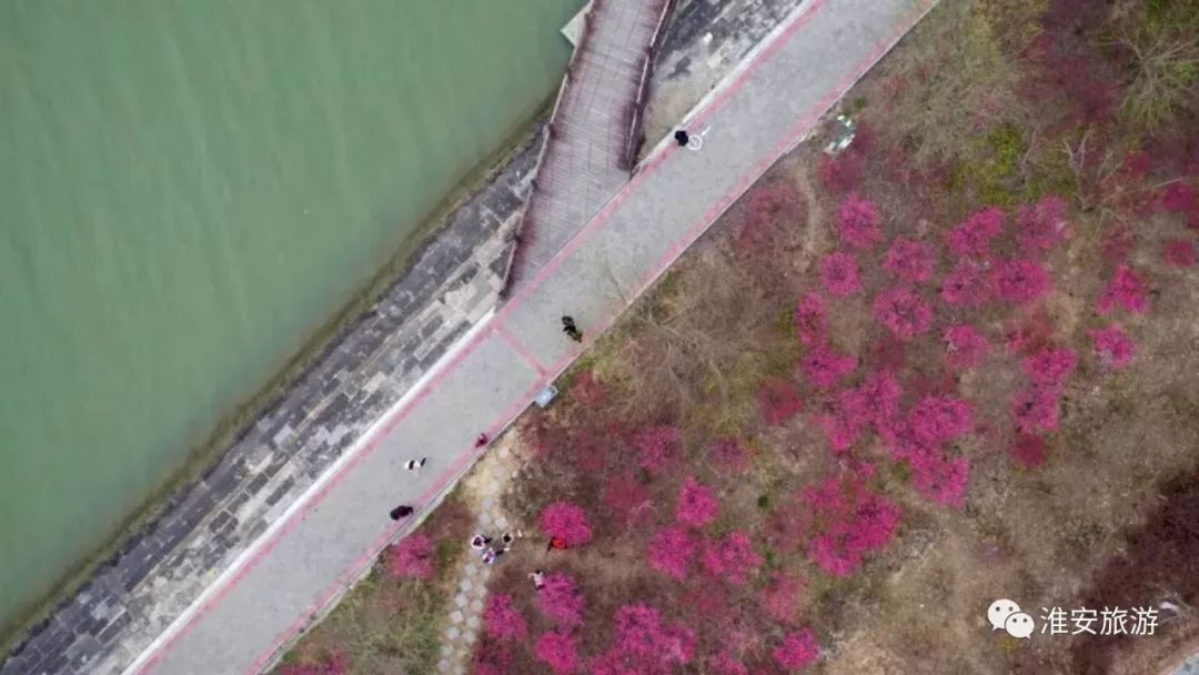 静享最美淮安 邂逅湖畔水韵