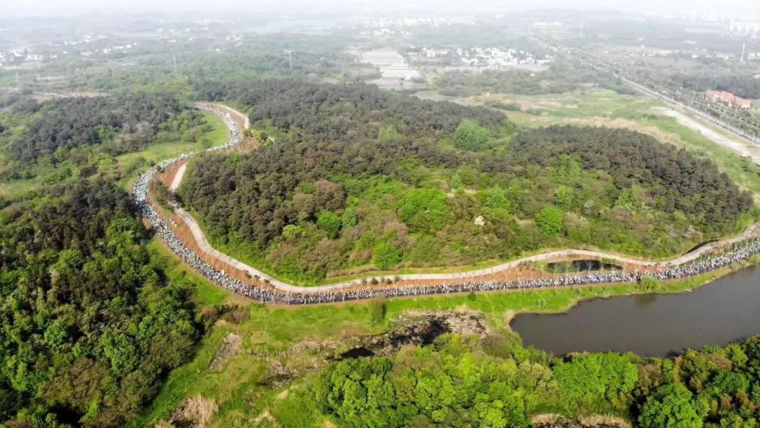 用最美马拉松赛道串起的南京江宁美丽乡村