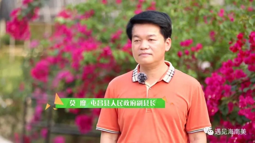 绿色屯昌,富足共享!海南中部鲜为人知的 闪亮