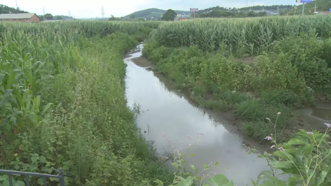 吉林省生态环保督察组通报辽河流域水污染防治