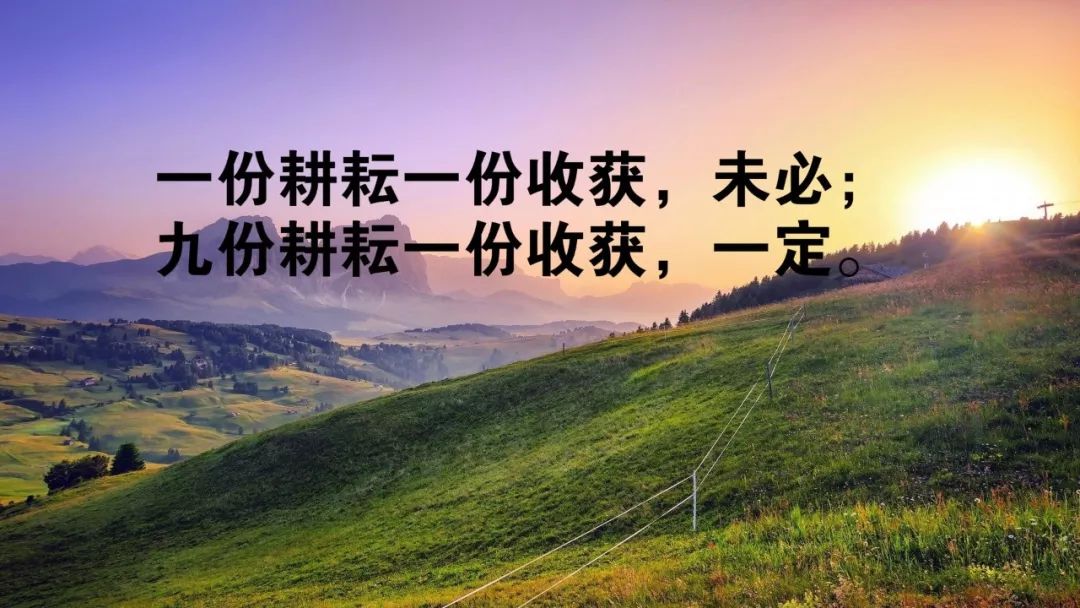 在捐卵群中浏览经过筛选和验证的捐赠者档案