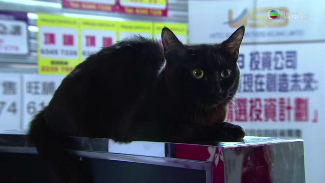 追到第十集，确定这是今年最刺激的港剧