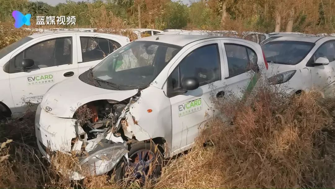 嘉兴又现共享汽车“坟场”:一千多辆共享汽车被弃荒野