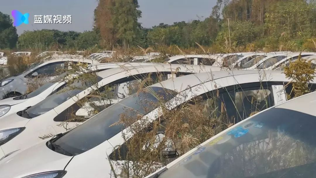 嘉兴又现共享汽车“坟场”:一千多辆共享汽车被弃荒野