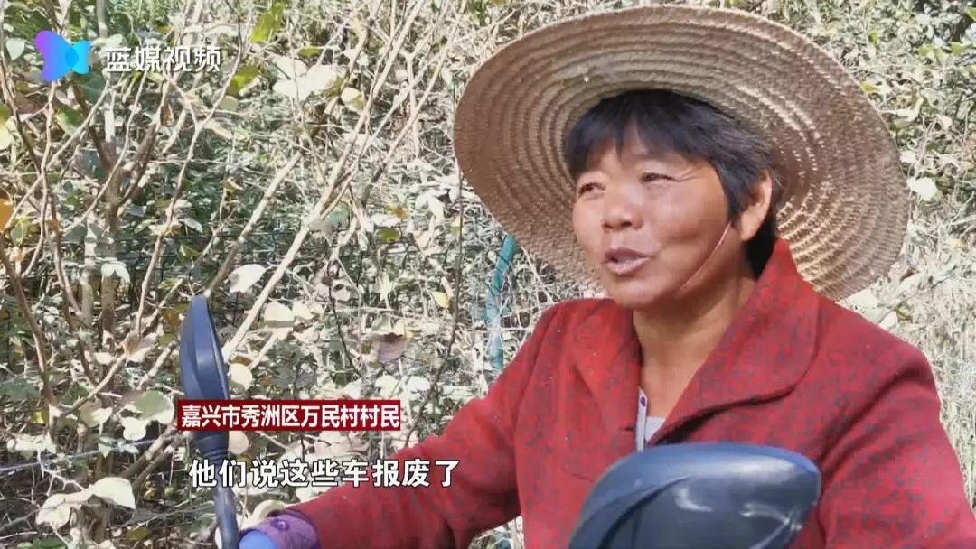 嘉兴又现共享汽车“坟场”:一千多辆共享汽车被弃荒野