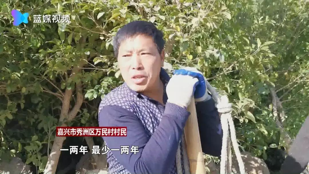 嘉兴又现共享汽车“坟场”:一千多辆共享汽车被弃荒野