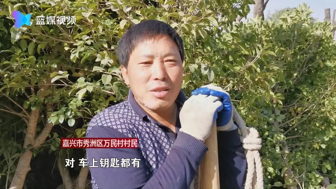 嘉兴又现共享汽车“坟场”:一千多辆共享汽车被弃荒野