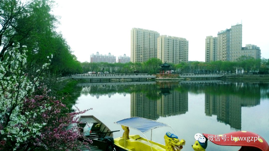 【倡议书】美丽乡村你我先行--致全县广大妇女