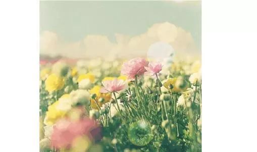 索罗模型人口增长_人口增长模型图