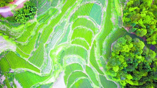 三合镇gdp_陈固县三合镇幼儿园