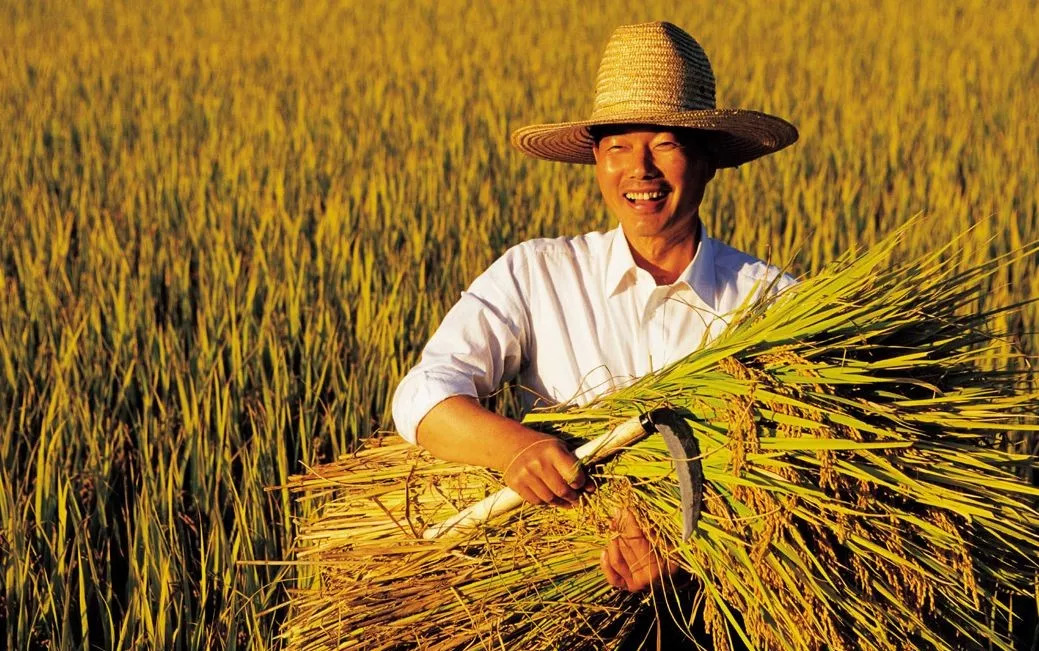 首次建立职业农民职称制度!山东20条新政助力