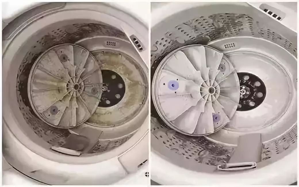 洗衣机细菌是马桶的500倍!倒点这个,脏东西自