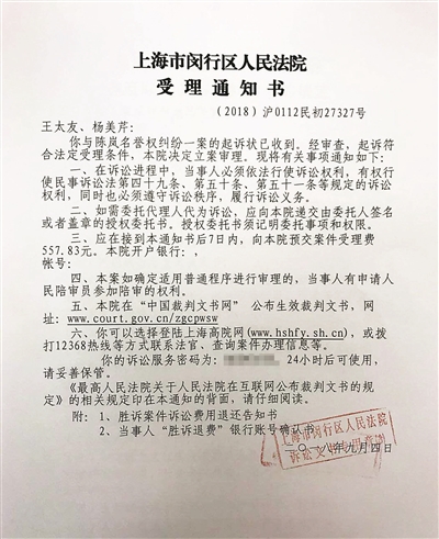 王凤雅家属诉作家陈岚侵犯名誉权