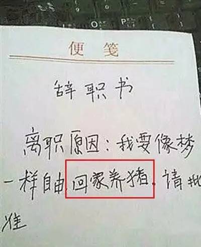 没我帅,不干了,你经历过哪些奇葩辞职理由?