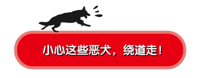 鸿彩网是不是真的假的 - The Most Beautiful Outdoor Music Festival to Kick