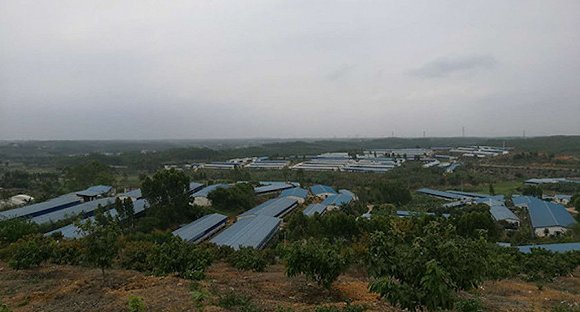 陈生在官湖村建造的养猪场。摄影:梁宙