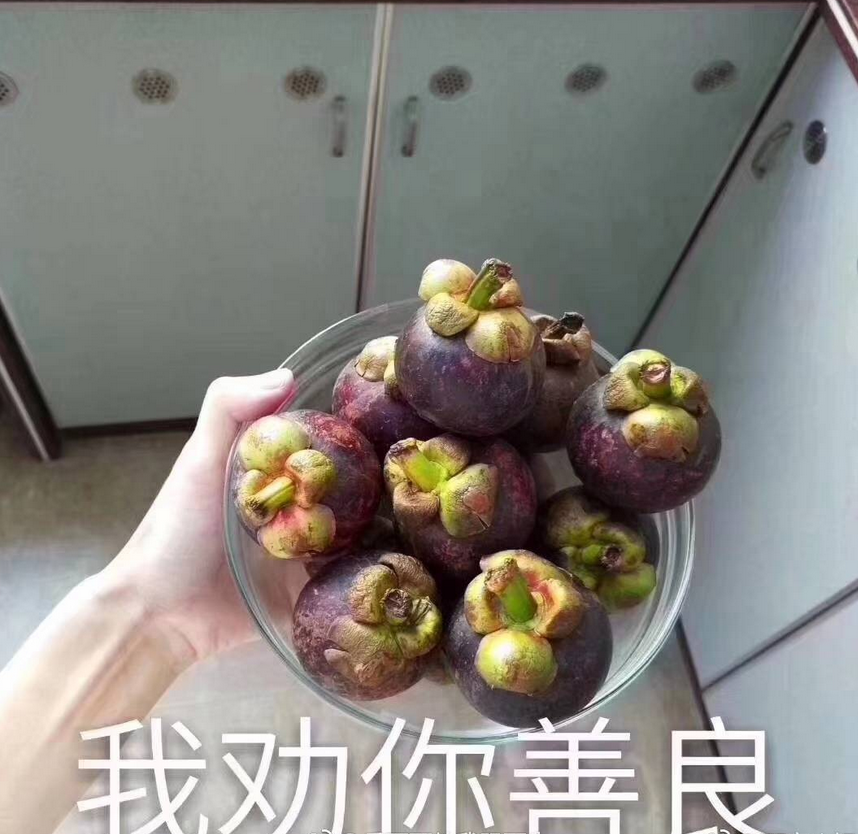 台风山竹封印术是什么梗?窗户上贴米字真的有