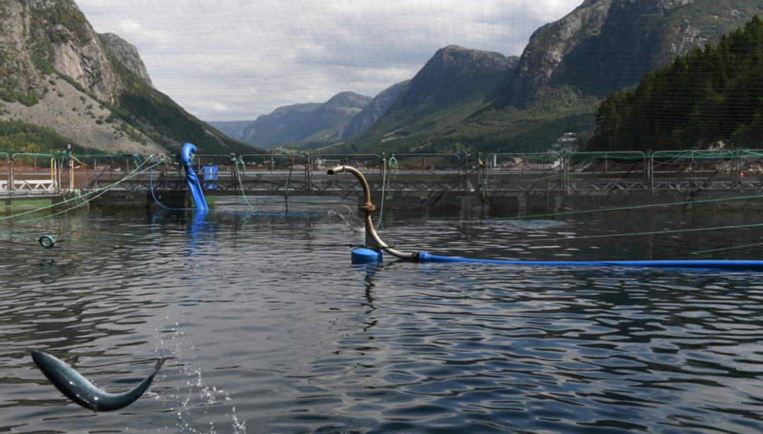 挪威是哪个海 33e4-ivffpcs1771557.png