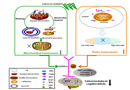 艾灸作用的物理原理是什么_艾灸的作用原理(3)