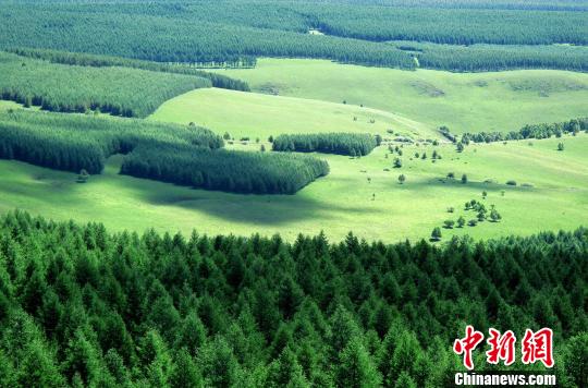 塞罕坝林海 张桂芹 摄 电视剧《最美的青春》央视一套热播 重现塞罕坝精神