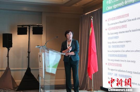 中国可再生能源发展保持旺盛势头