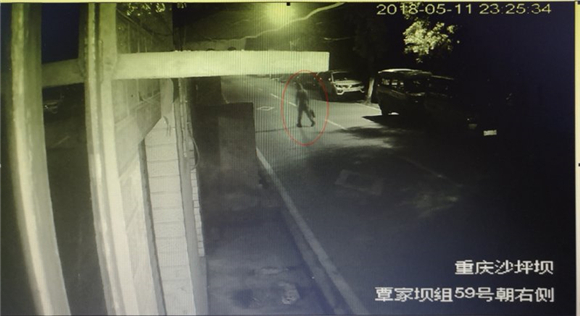 齫԰ ʧҳ˽조ڳ֤϶ұץ