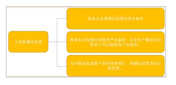 收入证明_2017全国平均收入(3)