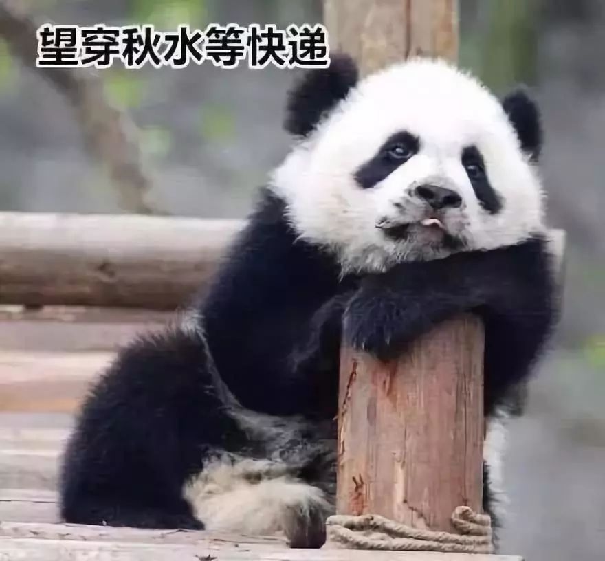 「sky娱乐平台黑钱」80岁著名中共党史专家 南京大学教授王德宝逝世