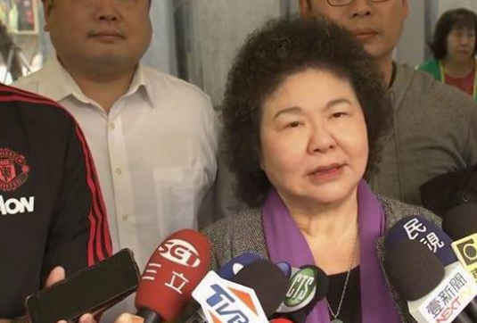 陈菊谈及民进党现状(图片来源:台媒)