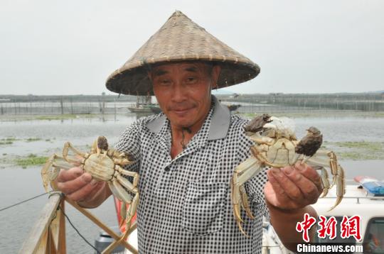 太湖大闸蟹开捕。太湖渔管办供图