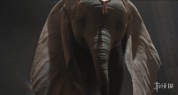 实在太可爱了!迪士尼《小飞象》幕后特辑曝光!