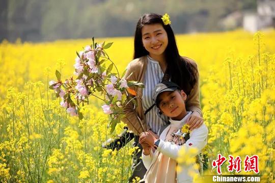 31日,安徽省休宁县板桥乡油菜花节开幕,图为游客在花丛中。 樊成柱 摄