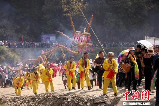 31日,安徽省休宁县板桥乡油菜花节开幕,图为人们进行民俗舞草龙表演。 樊成柱 摄