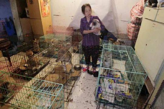 全省林业总产值预计达5300亿元