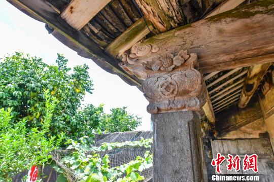 图为林家大院房檐下精美的木雕饰。 骆云飞 摄