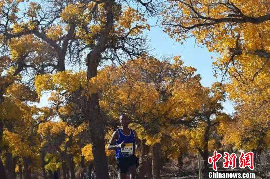 图为赛事现场。 刘琴 摄