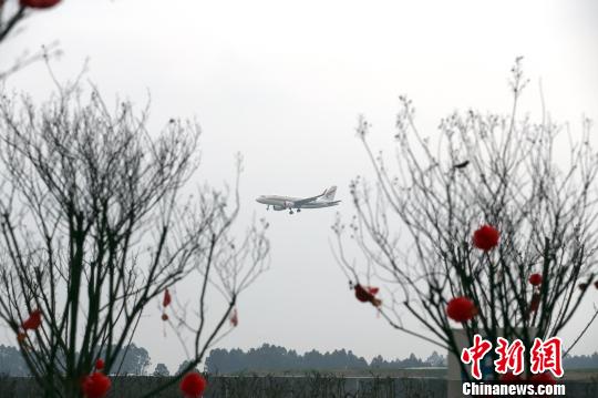 從雲華新村看到的客機降落畫面。 王磊 攝