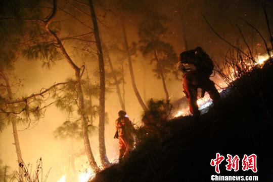 森林消防员双人协作扑打火线。 李从林 摄 森林消防员双人协作扑打火线。 李从林 摄