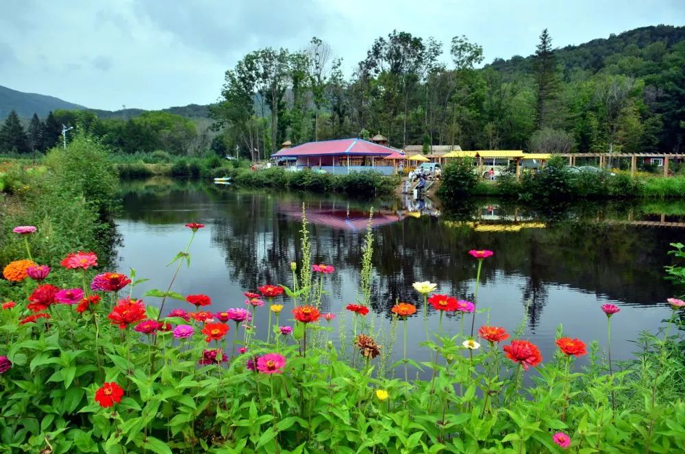 然林休养生息 6万多名林业职工受益 吉林省国