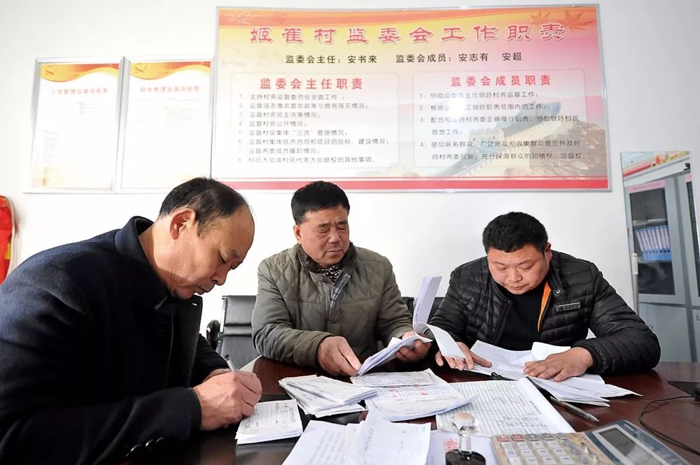 现场镜头 | 村监会带来大变化|村务监督|村监会