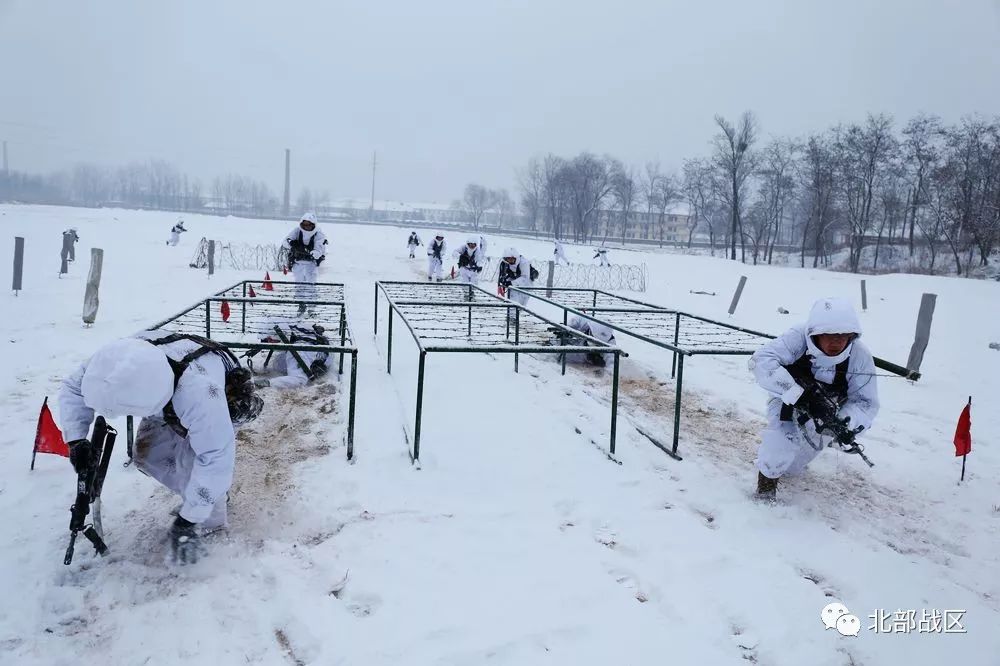 数九寒冬,练兵备战正当时!|官兵|战区|部队