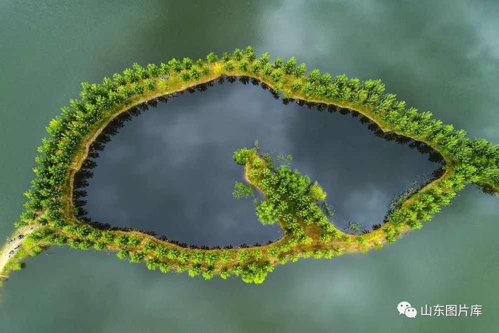 说山东|点赞!山东沂河上榜最美家乡河|沂水|沂